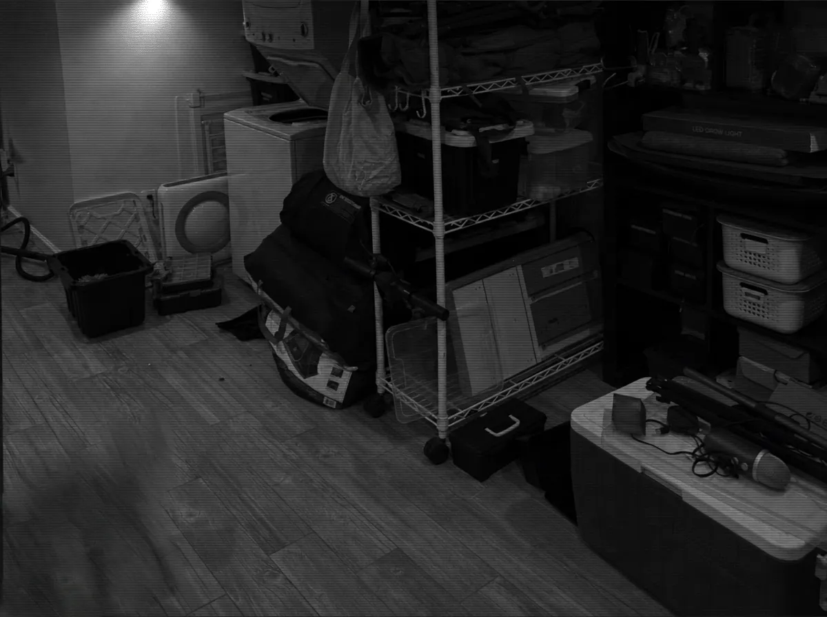 Security camera still of a cluttered basement at night. Something blurry is on the floor, bottom left.