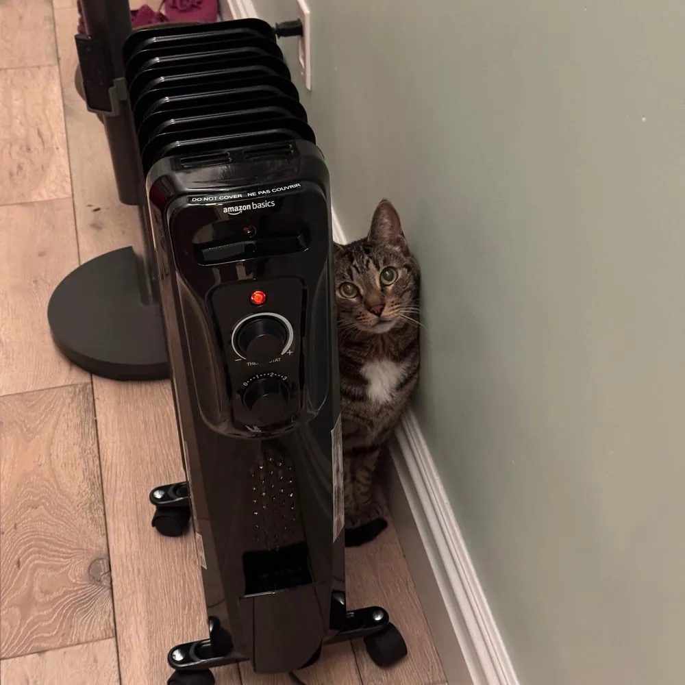 An oil-filled space heater, with Dante peeking out from behind it.